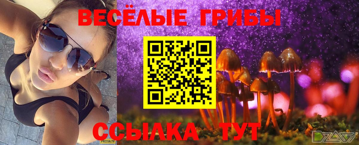 купить закладку  Псилоцибиновые грибы GOLDEN TEACHER  Вход с VPN  Котовск 